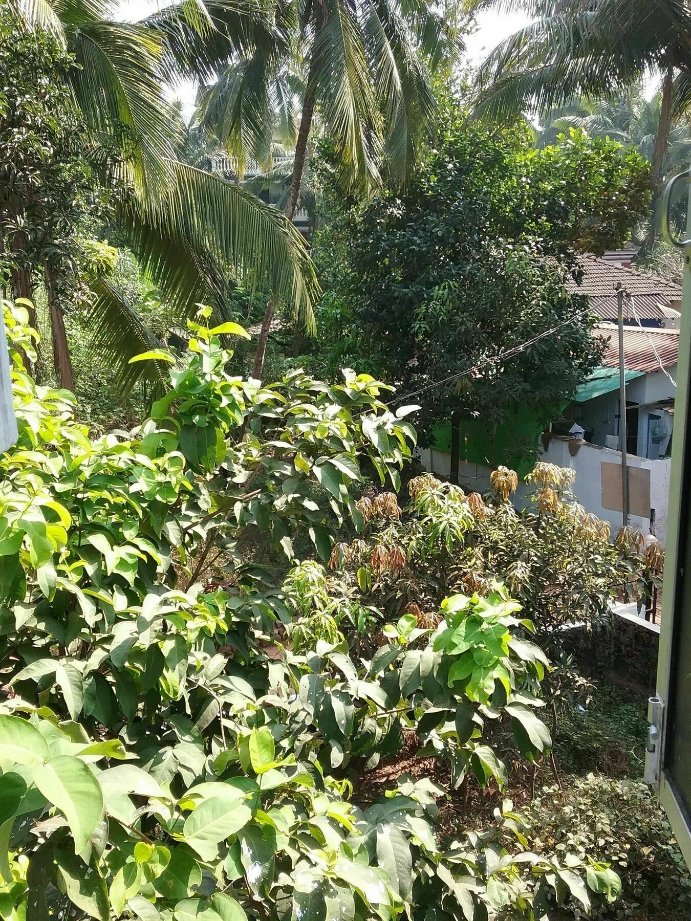 Hotel Baga Villa Bnb Saligao Extérieur photo